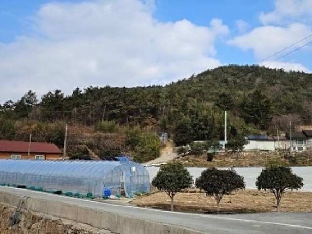 B000514202601300010061.jpg