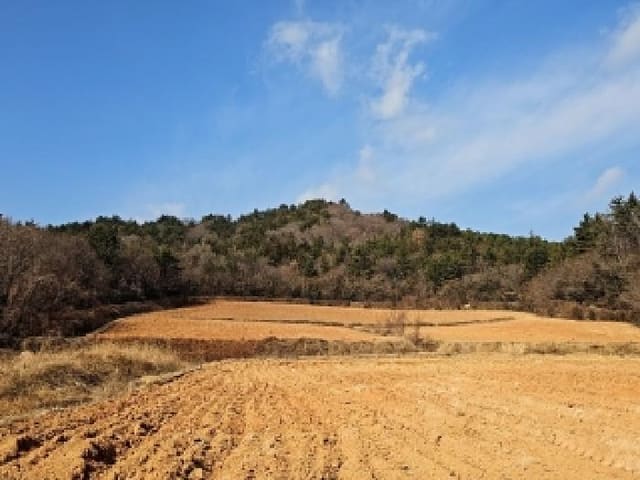 B000514202601300500011.jpg
