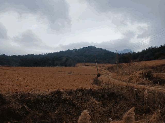 B000514202601300500013.jpg