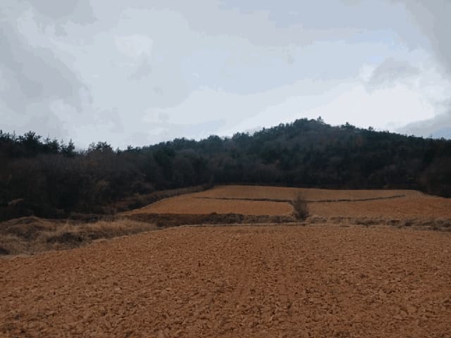 B000514202601300500014.jpg