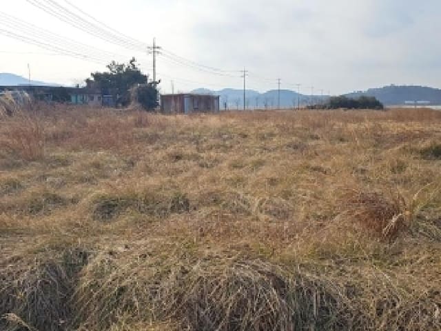 B000514202601300500074.jpg
