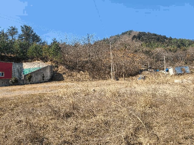 B000514202601300500714.jpg