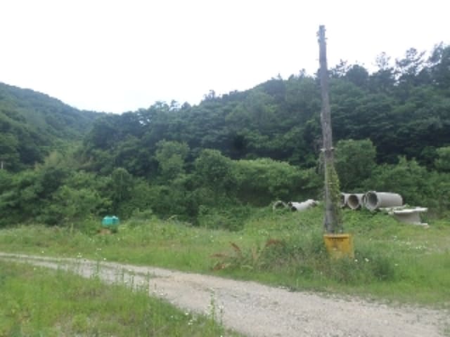 B000520202401300028643.jpg