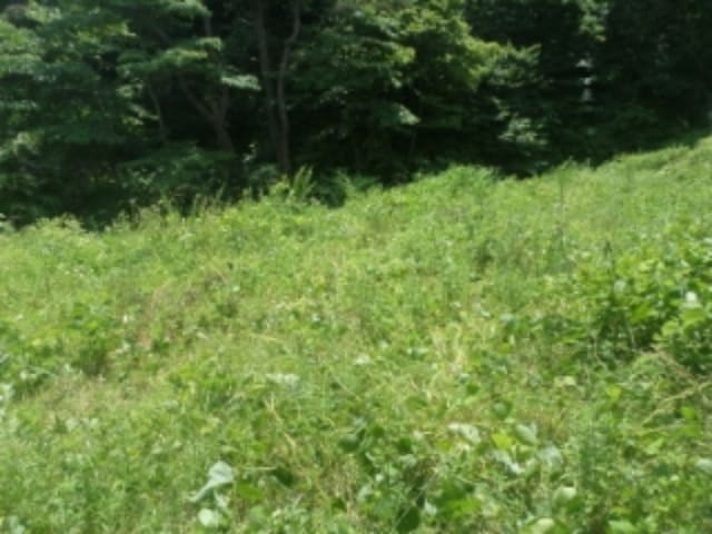 B000520202401300028642.jpg