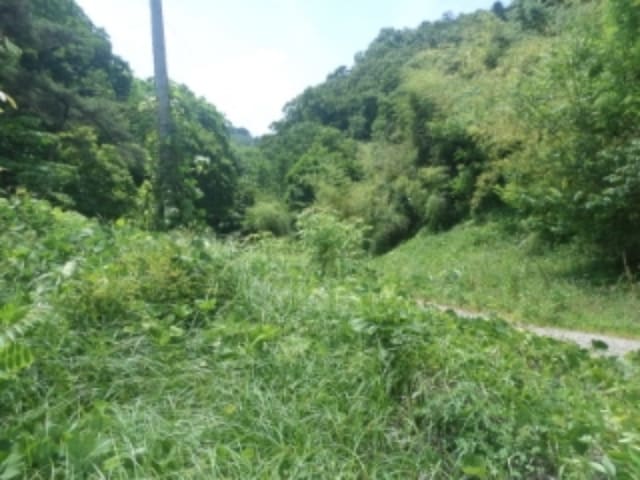 B000520202401300028641.jpg