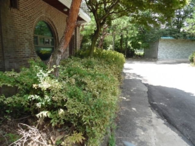 B000520202401300036074.jpg