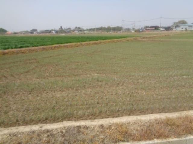 B000520202401300336152.jpg