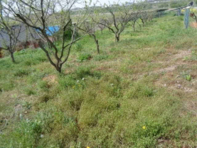 B000520202401300336151.jpg