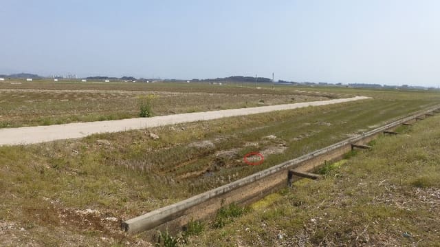 B0005202024013003361519.jpg