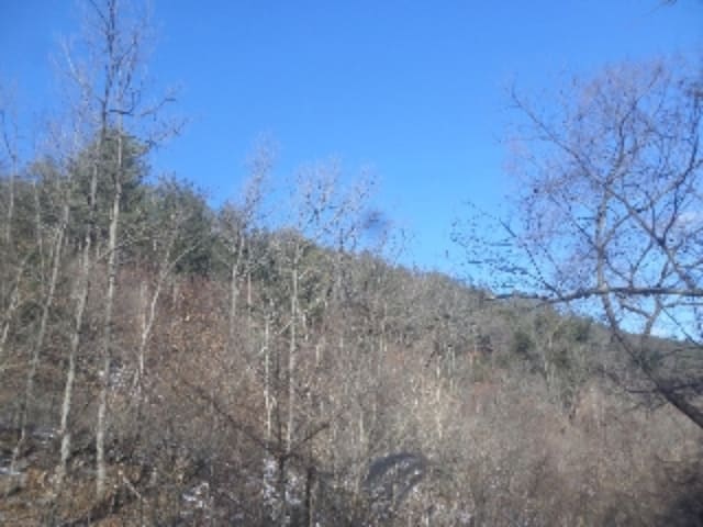 B000520202401300417843.jpg