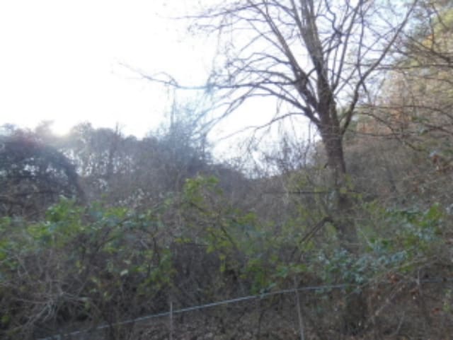 B000520202401300419134.jpg
