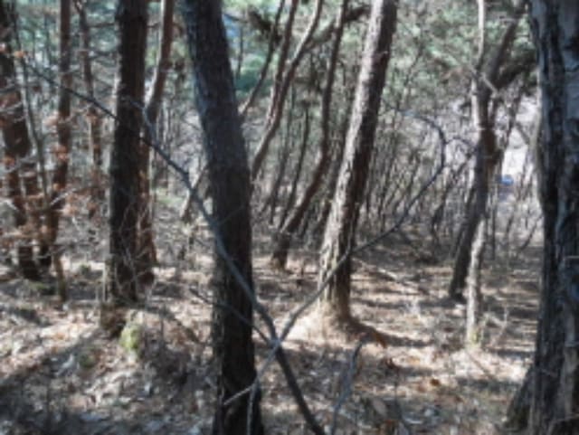 B000520202401300419132.jpg