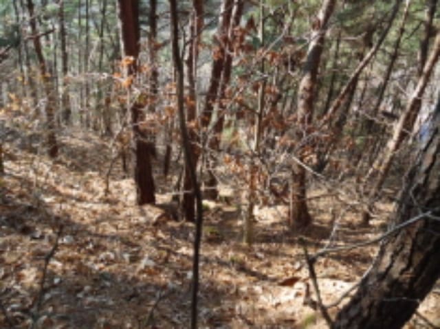 B000520202401300419133.jpg