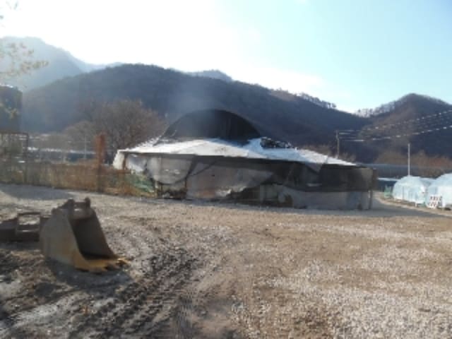 B000520202401300427633.jpg