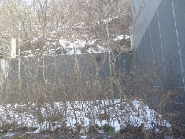 B000520202501300005371.jpg