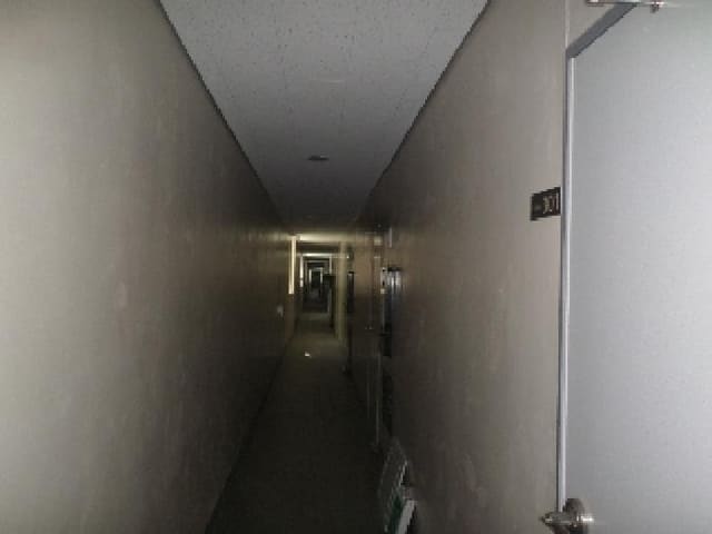 B000520202501300005372.jpg