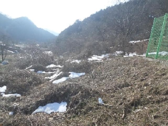 B000520202501300005382.jpg