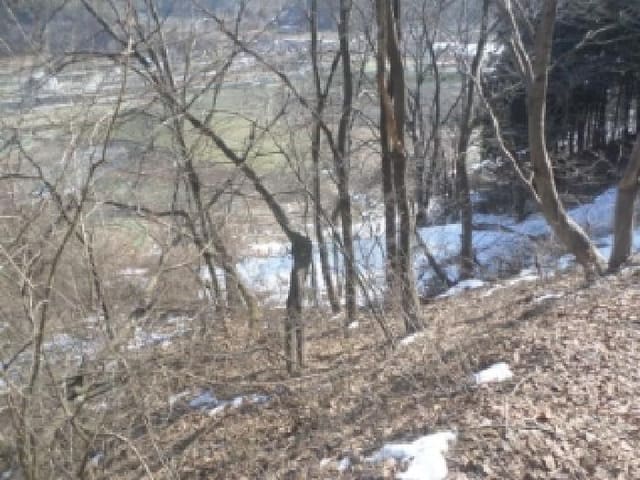 B000520202501300005384.jpg