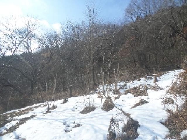 B000520202501300005381.jpg