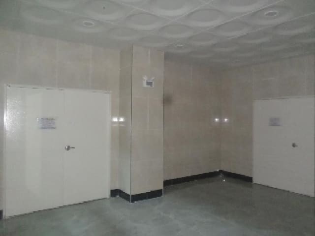 B000520202501300005933.jpg