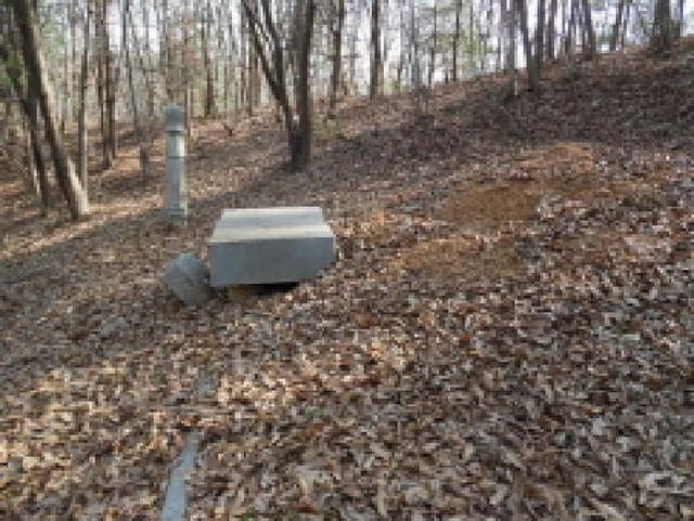 B000520202501300006034.jpg