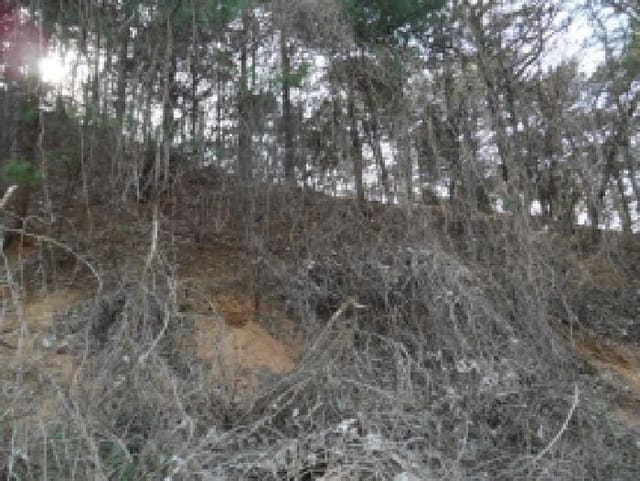 B000520202501300006033.jpg