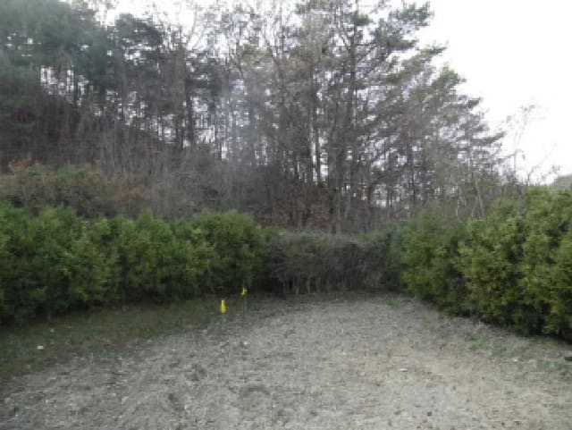 B000520202501300006032.jpg
