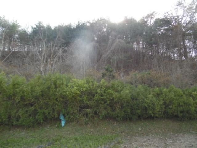 B000520202501300006031.jpg
