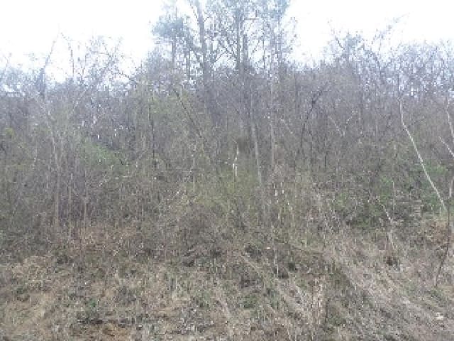 B000520202501300006134.jpg