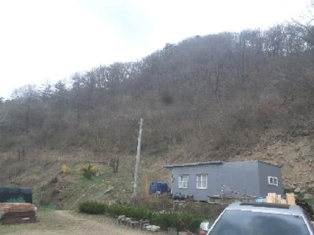 B000520202501300006132.jpg