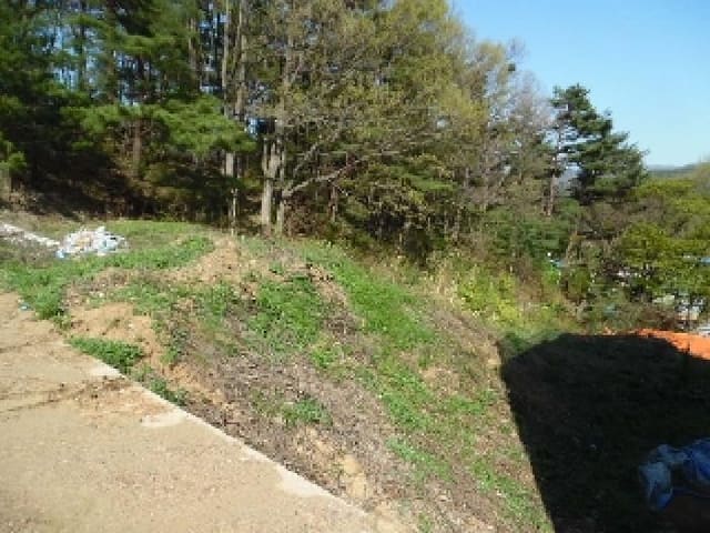 B000520202501300006521.jpg