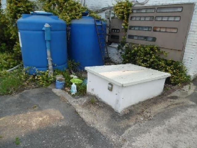 B000520202501300006713.jpg