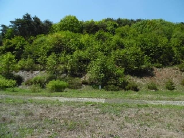 B000520202501300006814.jpg
