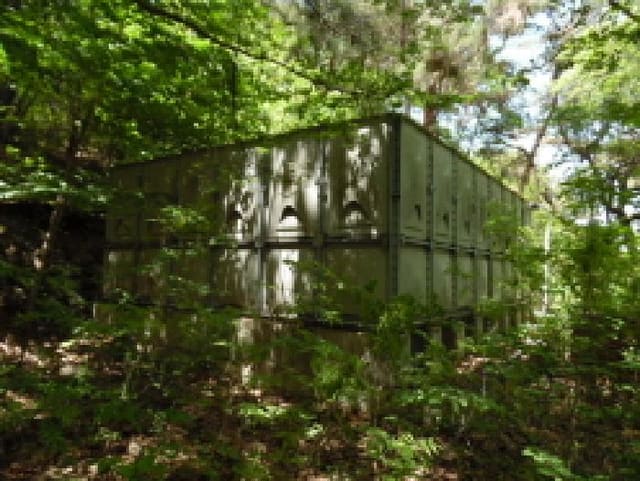 B000520202501300006812.jpg