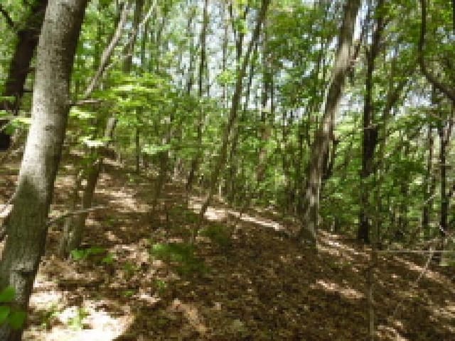 B000520202501300006811.jpg