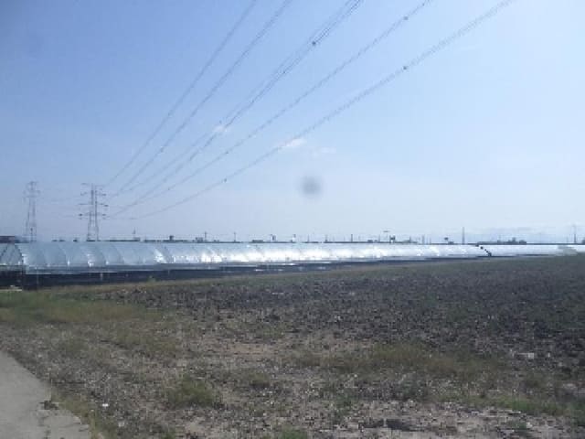 B000520202501300006964.jpg