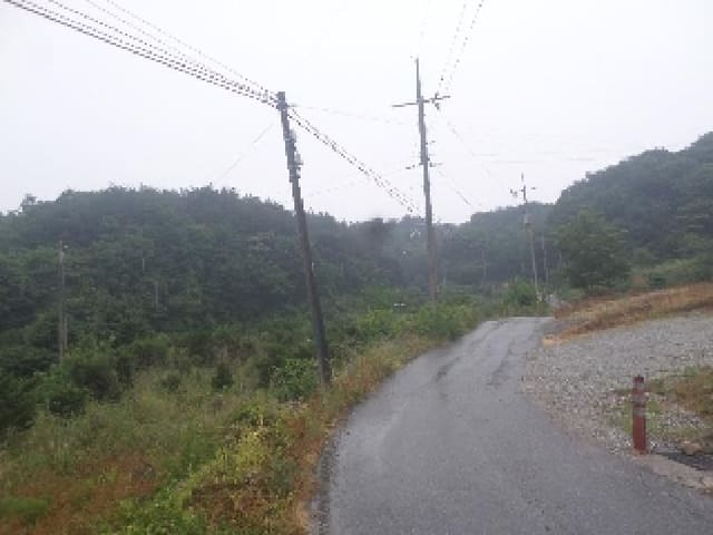 B000520202501300007364.jpg