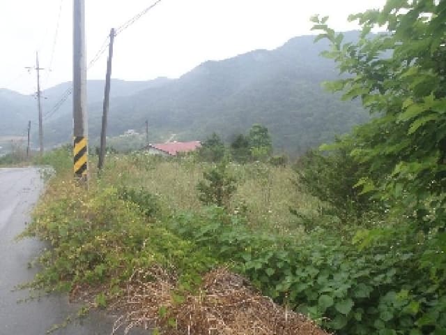 B000520202501300007363.jpg