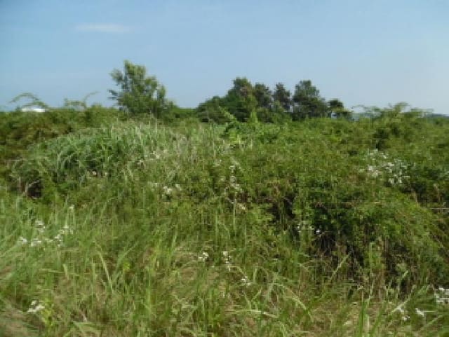 B000520202501300007702.jpg