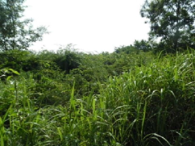 B000520202501300007704.jpg
