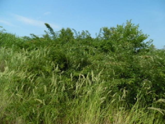 B000520202501300007701.jpg