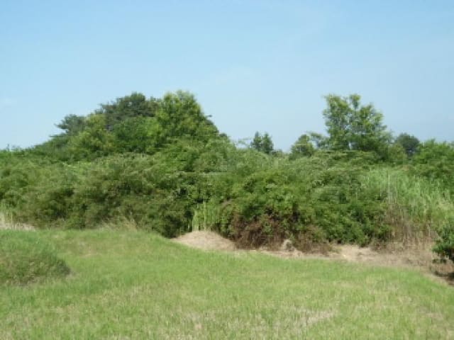 B000520202501300007703.jpg