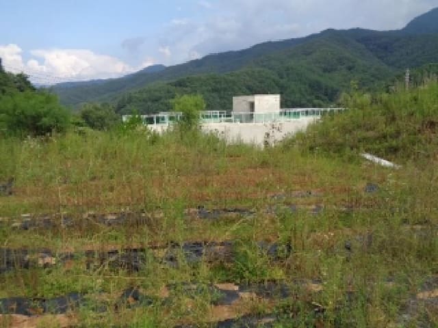 B000520202501300007911.jpg