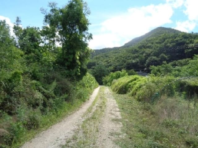 B000520202501300007994.jpg