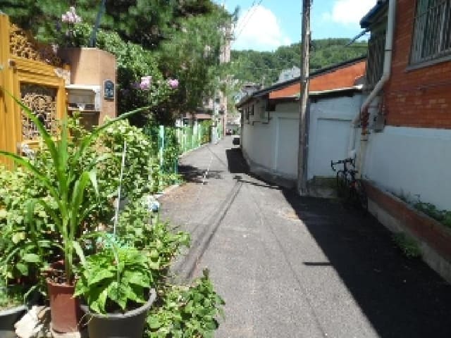 B000520202501300008132.jpg
