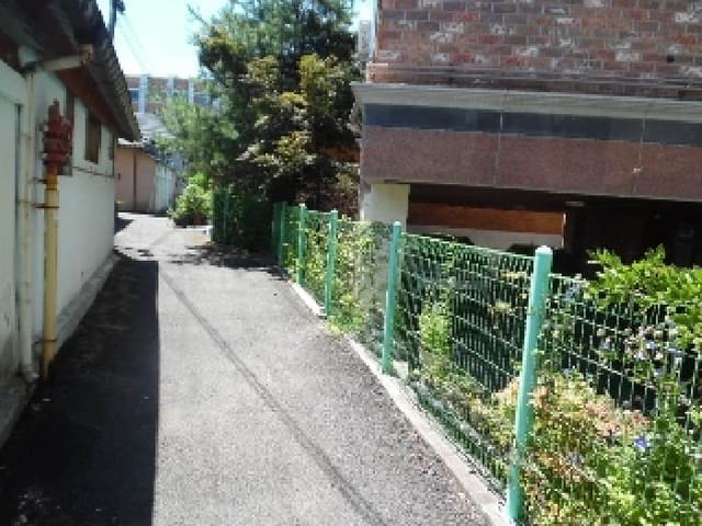 B000520202501300008134.jpg
