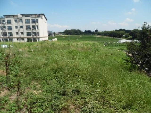 B000520202501300008394.jpg