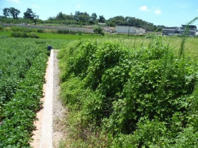 B000520202501300008392.jpg