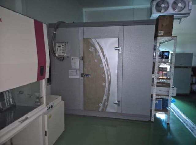 B000520202501300008464.jpg