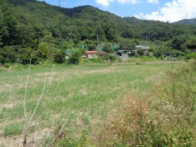B000520202501300008483.jpg
